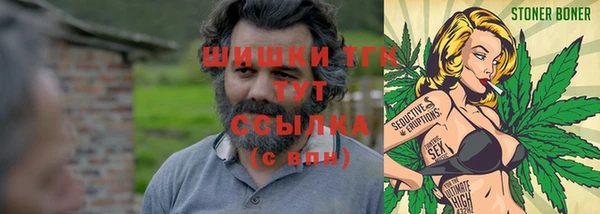 mix Алексин