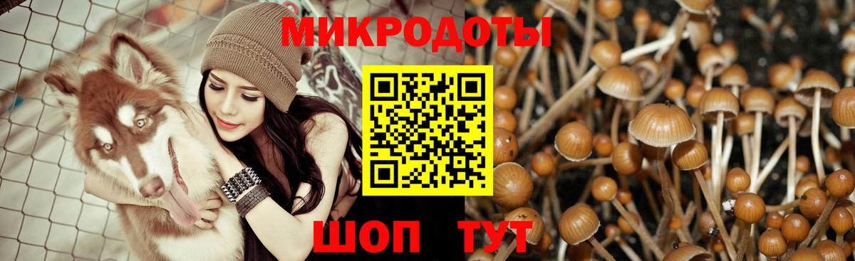 Галлюциногенные грибы Cubensis  Вход с VPN  Псилоцибиновые грибы Psilocybine cubensis  Майкоп 