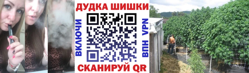 МАРИХУАНА конопля Майкоп